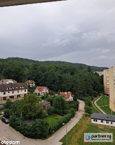 3 pokoje blisko lasu/do remontu/od zaraz