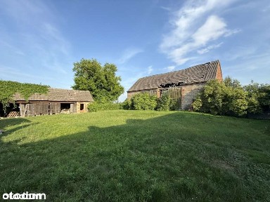Dom z potencjałem + duża działka 2925 m² | Janków, gm. Pleszew