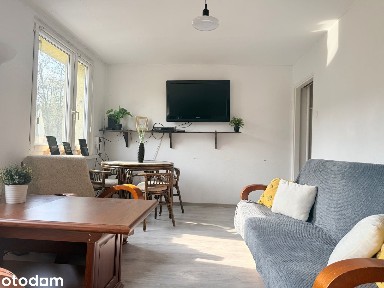 Wynajmę mieszkanie 27m2 w centrum Chorzowa- Najem okazjonalny.