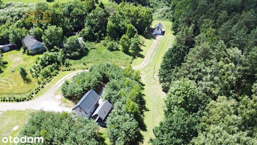 2 domki | Las Państwowy | 6700 m² | Kaszuby