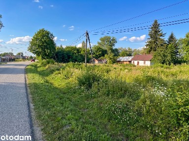 Duża działka 1,3 ha + zabudowania | Bezpośredni dojazd asfaltem!