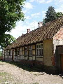 Historyczna Posiadłość na 11 ha | Starodrzew |
