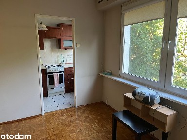 Mieszkanie 2 pokoje, 32,3 m² Bełchatów, os. Wolność - bezpośrednio
