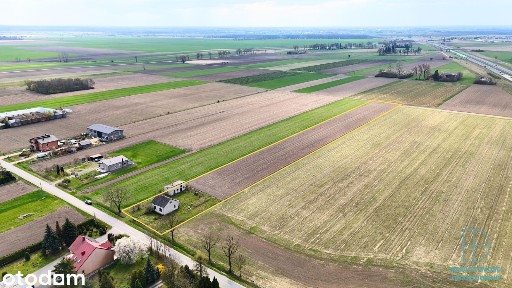 Łęki Górne, Krzyżanów, kutnowski, łódzkie