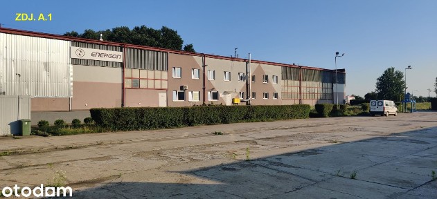 Wynajmę halę magazynowo-produkcyjną z biurami 1200m na działce 1,34ha