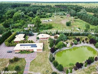 Dwa domy, siedlisko ze stawem i halą, wśród lasu