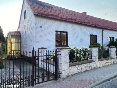 Dom wolnostojący z ogrodem na wynajem