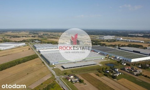 Magazyn 8 tyś m2 Sosnowiec - 0% prowizji