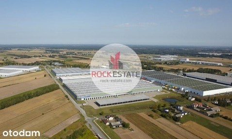 Magazyn 8 tyś m2 Sosnowiec - 0% prowizji