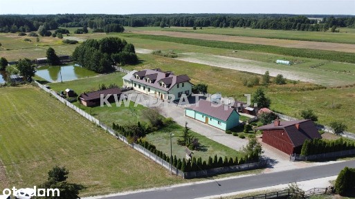 Agroturystyka w Dąbiu!