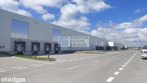 Magazyn klasy A, 5 800 m2 - Bez Prowizji