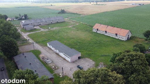 Orlinek/hale 4091m2 /działka 20584m2/ogrodzona