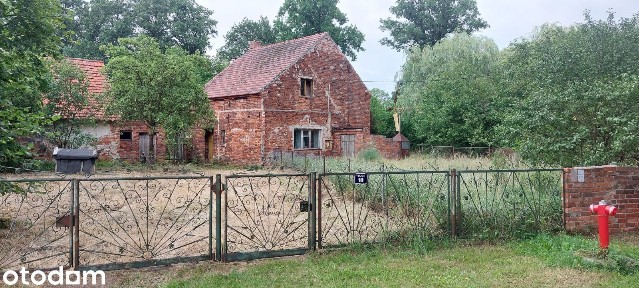 Wolnostojący dom z ogrodem w cichej okolicy