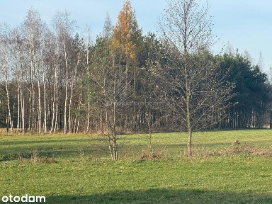 Dom na sprzedaż, Nowe Budy