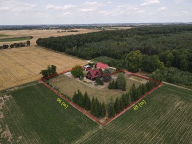 Leśniczówka na sprzedaż, Gołąbki