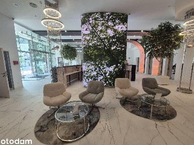 Lokal biurowy 32,88 m2 Ludna 2 - bezpośrednio