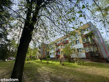 Przytulne mieszkanie z balkonem | 32,3 m² | 2 piętro |Hajnówka
