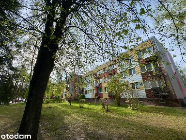 Przytulne mieszkanie z balkonem | 32,3 m² | 2 piętro |Hajnówka