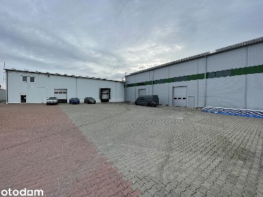 Hala produkcyjno-magazynowa 2341 m² | chłodnie | S5 i A2 | Trzek
