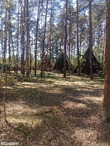 domki typu BRDA w lesie, obok stawu Borowiany