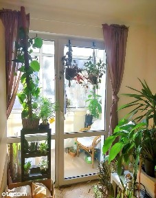 2 pokoje, 48m2, Herbowa, blisko Jasnych Błoni!