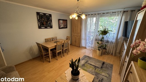 2-pokojowe mieszkanie 50,3 m² przy ul. Watykańska