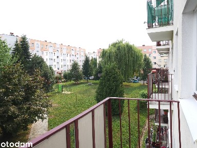 Kawalerka z balkonem, osobną kuchnią, blisko Centrum i uczelni.