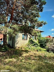 Dom wolnostojący z oczkiem wodnym i garażem