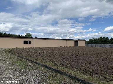 Hala magazynowo-biurowa 1 200 m² | Sprzedaż lub wynajem