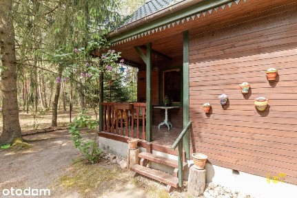 Domek letniskowy - Rezerwat - Starorzecze Bugu