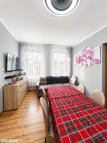 Świdnica, świdnicki, dolnośląskie