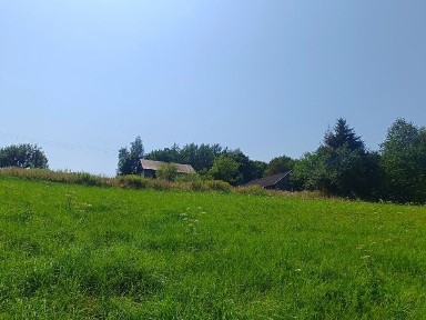 Domek na wzgórzu, bezpośrednio