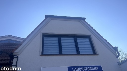 Lokal w centrum Lubonia