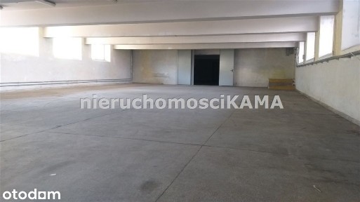 Hala/Magazyn, 769 m², Bielsko-Biała