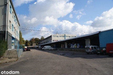 Ptasia 3, Pogoń, Sosnowiec, śląskie