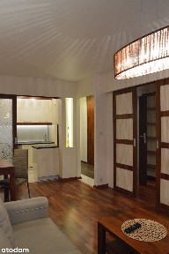 Mieszkanie z widokiem na Wisłę / 40 m2 / bezpośrednio