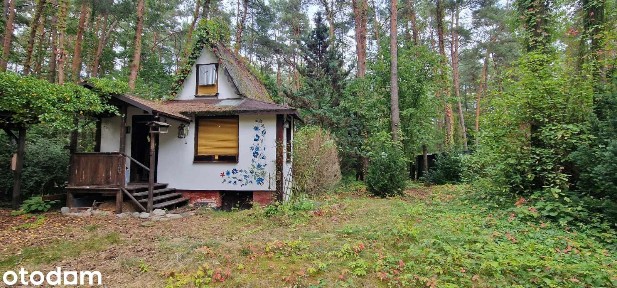 Domek drewniany typu brda z działką