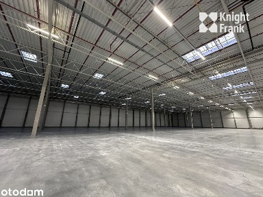 Magazyn na podnajem z obsługą logistyczną - Toruń