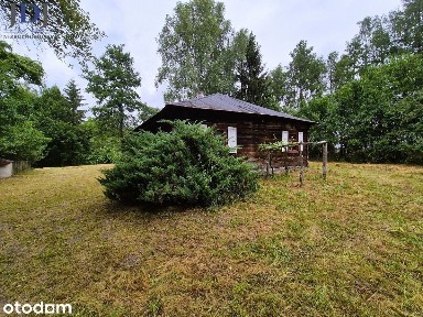 Chata z lasem, 89 ar ciszy i niezwykłego klimatu.