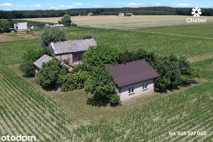Siedlisko ok. 60 m2 z działką ok. 3100 m2 we wsi Wierzbick.