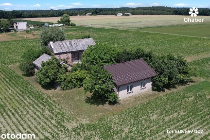Siedlisko ok. 60 m2 z działką ok. 3100 m2 we wsi Wierzbick.