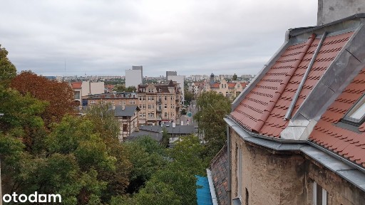 Klimatyczne mieszkanie w centrum Poznania