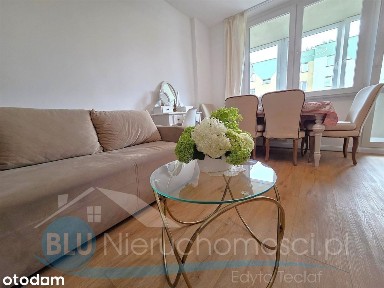 Głogów, Chrobry, mieszkanie 3 pok wynajem