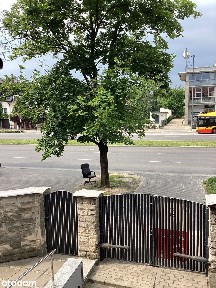 Bezposrednio