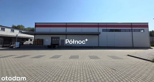 Do wynajęcia nowoczesny magazyn 1000 m²