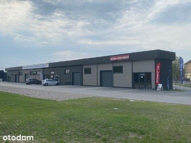 Hala magazynowo-handlowa wysoki stand/biura 203m2