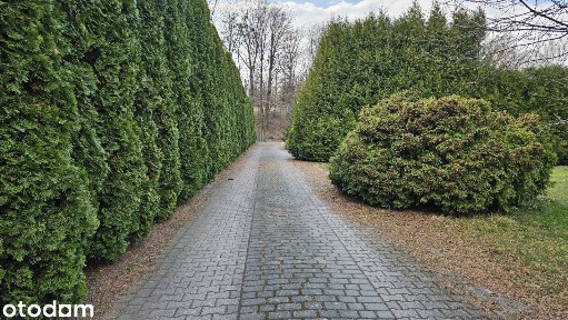 Ustroń, cieszyński, śląskie