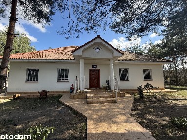 Dom przy lesie | 190 m² | Przydziałki | Duża działka | Parterowy