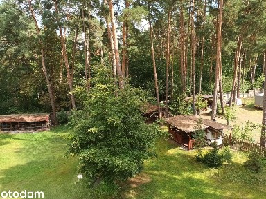 4-pokojowe mieszkanie z ogrodem, wśród lasów, blisko jezioro