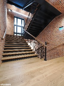 Lokal na wynajem, Wrocław